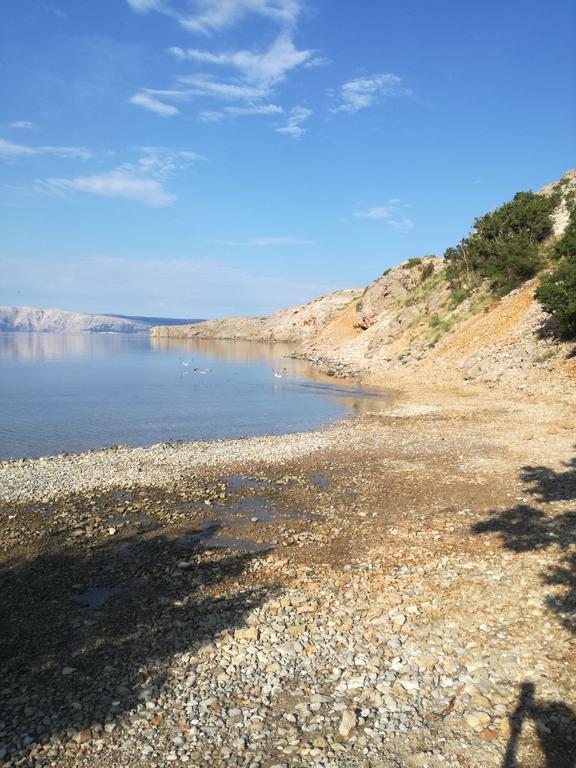 Apartments Jadranka Povile Novi Vinodolski Dış mekan fotoğraf